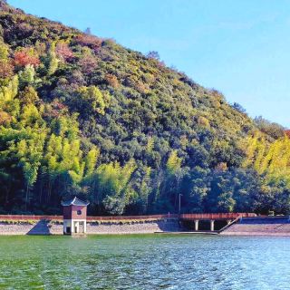 Bawangtan: My Most Underrated Historical Hidden Spot in Zhejiang 🌿