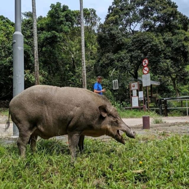香港仔郊野公園係一個老少咸宜的地方