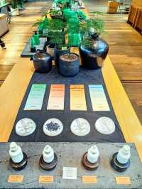 Innisfree Haven: Jeju's Green Retreat