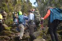 Best 7 Day Kilimanjaro Hiking via Machame Route