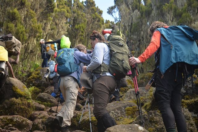 Best 7 Day Kilimanjaro Hiking via Machame Route