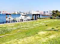 青海南埠頭公園