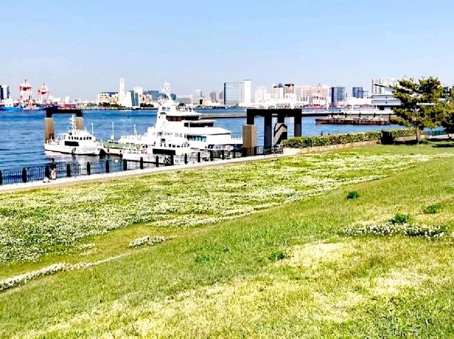 青海南埠頭公園