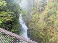 트와일라잇촬영지로 알려진 Vancouver에 위치한 Lynn Canyon park