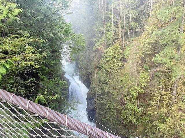 트와일라잇촬영지로 알려진 Vancouver에 위치한 Lynn Canyon park