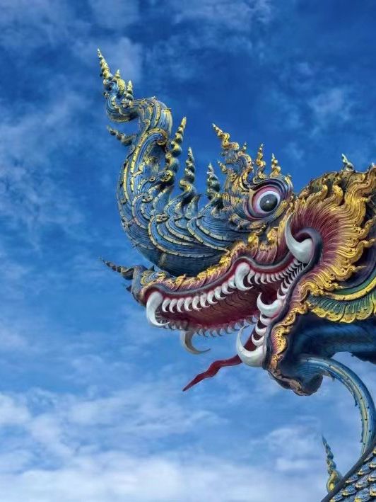 在黑、白與藍之間，看見死亡的顏色