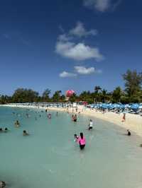 Swim with Pigs & Chill on South Beach
