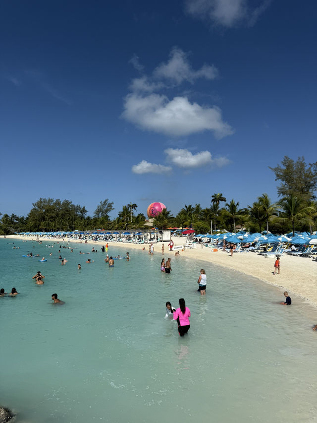 Swim with Pigs & Chill on South Beach Swim with Pigs & Chill on South Beach