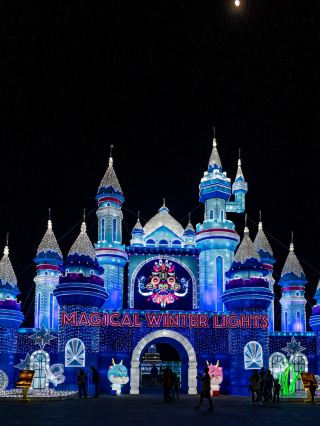 마법의 겨울 불빛