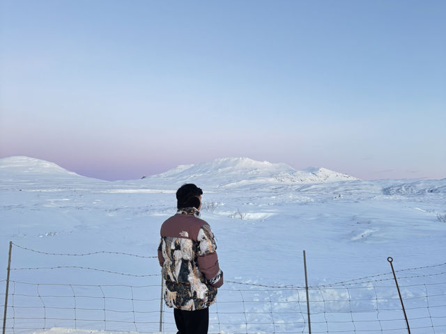 🌿🇮🇸 THINGVELLIR NATIONAL PARK – WHERE ICELAND’S HISTORY MEETS NATURE 🌿🇮🇸 THINGVELLIR NATIONAL PARK – WHERE ICELAND’S HISTORY MEETS NATURE