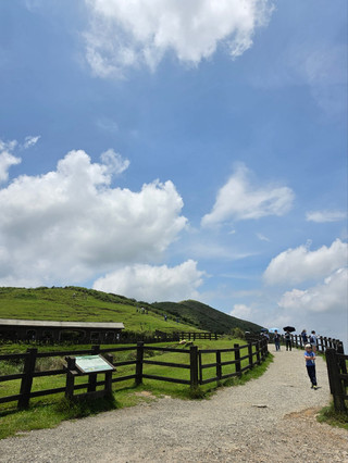 【台北一日遊】陽明山大自然之旅！擎天崗大草原＋冷水坑免費溫泉泡腳，下山必吃高 CP 值暖胃火鍋｜行程/交通/避坑全攻略 🌿🍲