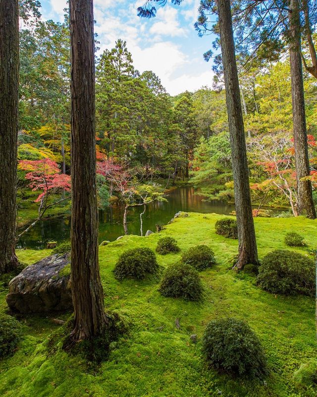 Kyoto: Cultural Odyssey