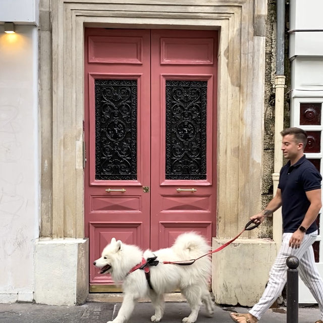 The cutest neighborhood in Paris – Montmartre