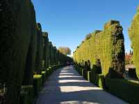 Gorgeous Granada: Spain’s Moorish Jewel 🇪🇸