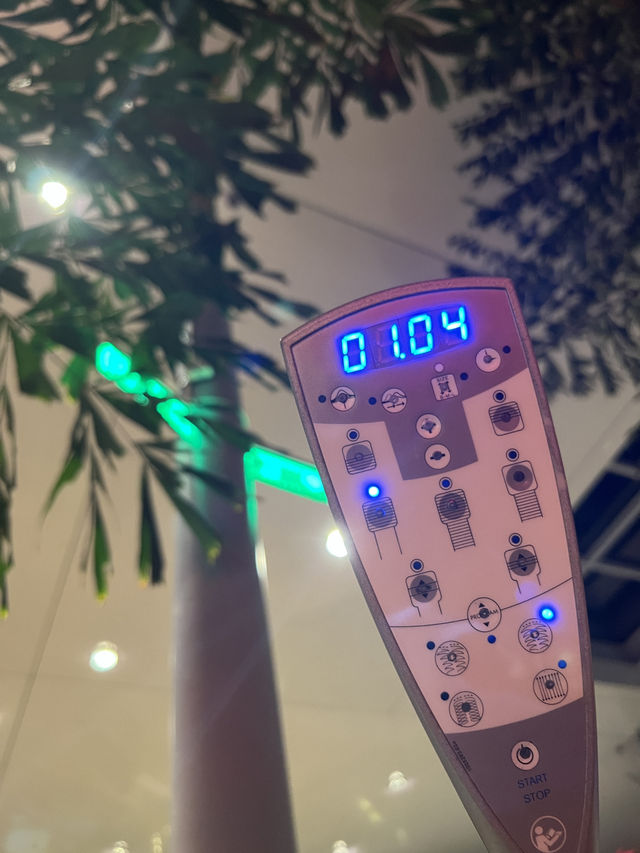 테르메만의 독보적 야경