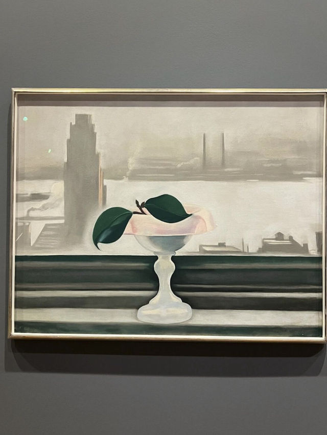 The Art Institute of Chicago 👩‍🎨