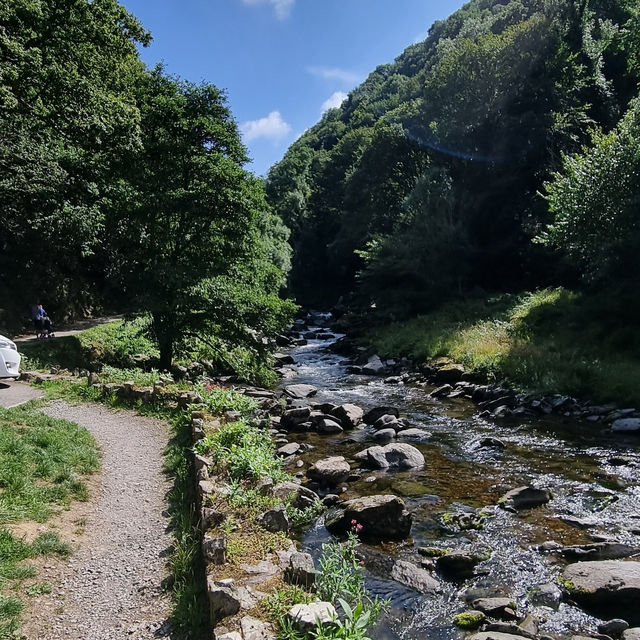 Gorges, rivers and woodland along the Devon Coast