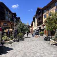 A mammoth town