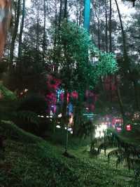 Mystical Wonderland Trip: Mycelia Forest Adventure in Lembang, Bandung - Indonesia