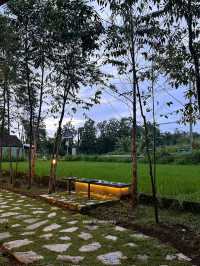selo.coffee