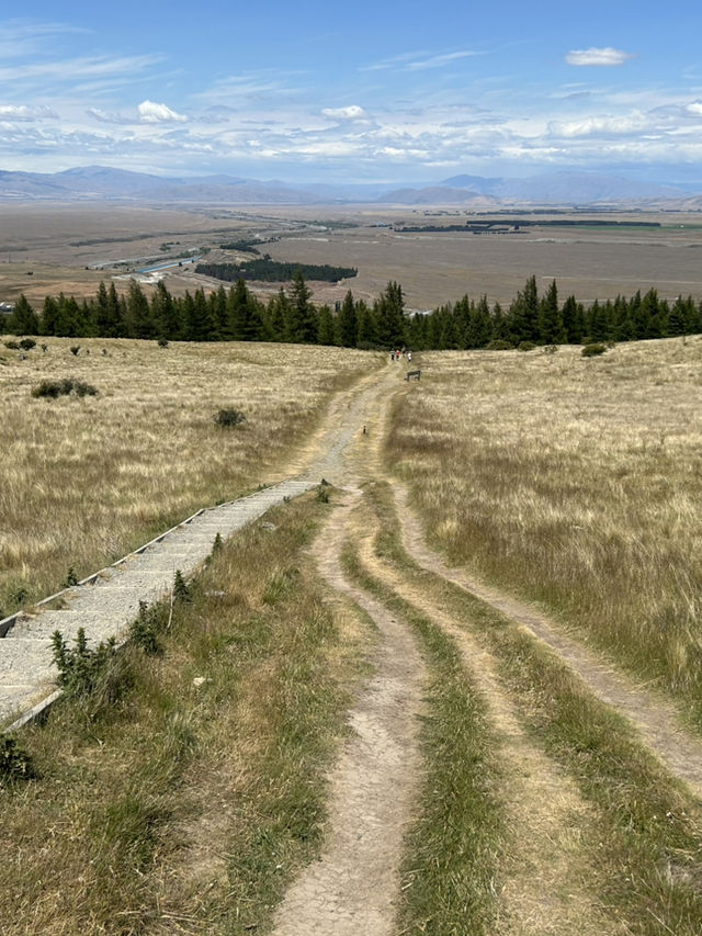 🌊🏔️ Lake Tekapo & Mount John: A Hike to the Stars