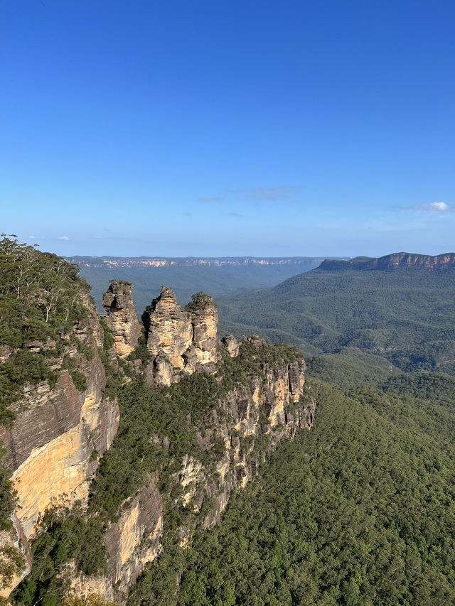 호주 시드니 블루마운틴 코스 추천 ⛰️