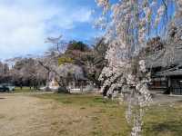 Odaka shrine