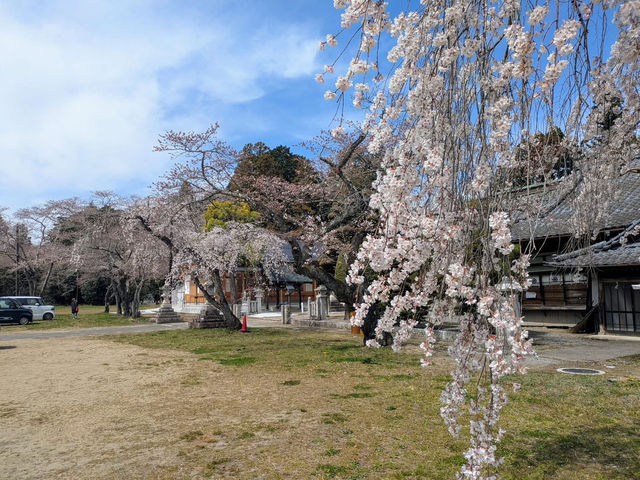 Odaka shrine