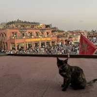 Morocco 2024