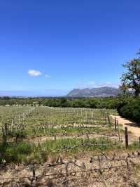 Groot Constantia Wine Route 🍷