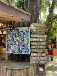 Ever Tried Flower Salad with a Sea View? Bohol Bee Farm Is a Sweet Surprise