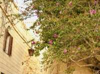Malta’s Silent City - Mdina 