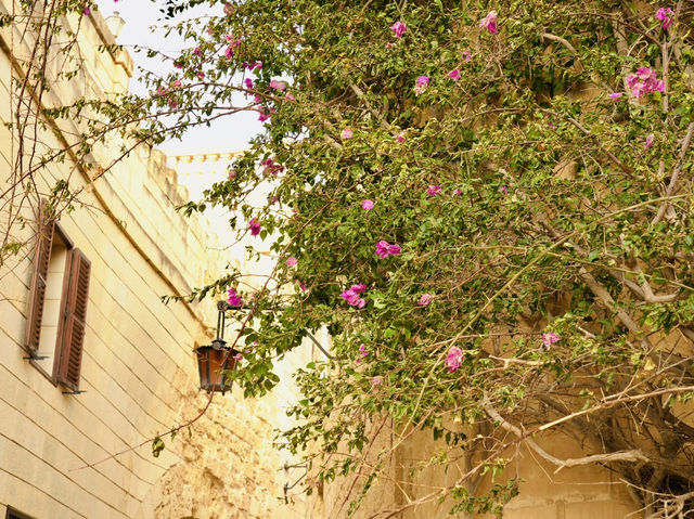 Malta’s Silent City - Mdina 