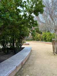 City Loop