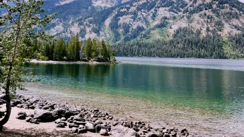🚗 Grand Teton National Park Transportation Tips: Cruise Through the Mountains in Style ⛰️🛣️ — traveler post in Moran