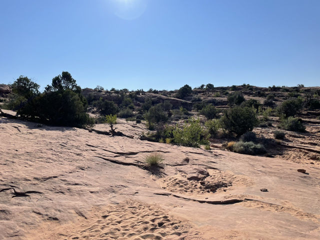 🚙 National Park Transportation Tips: Salt Lake City to the Mighty 5 🏞️🧭