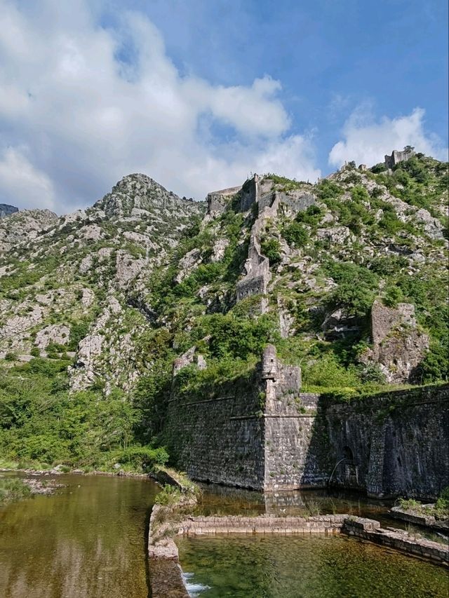 Kotor, Montenegro's most atmospheric city 🐈🐈‍⬛🐈🐈‍⬛