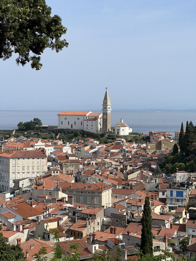 🇸🇮 斯洛維尼亞皮蘭（Piran） 🌅