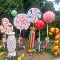 Beautiful parks, Zhongshan park, Botanical garden etc.