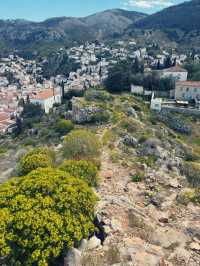 Cats, Donkeys & Crystal Seas: Hydra’s Car-Free Island Charm 🐾🐴🌊