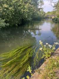 Southampton Serenity: Yoga + Run in Nature