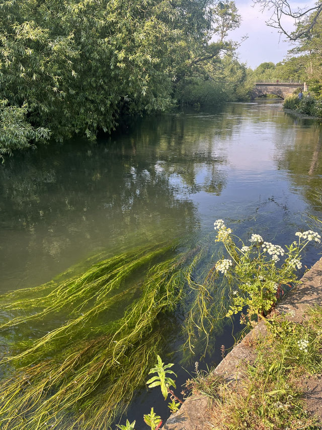 Southampton Serenity: Yoga + Run in Nature