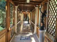 Bucharest City Walk