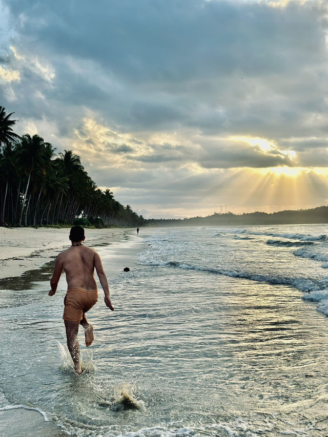 Pig Beach in Palawan: Yes, You Can Swim With Pigs in the Philippines