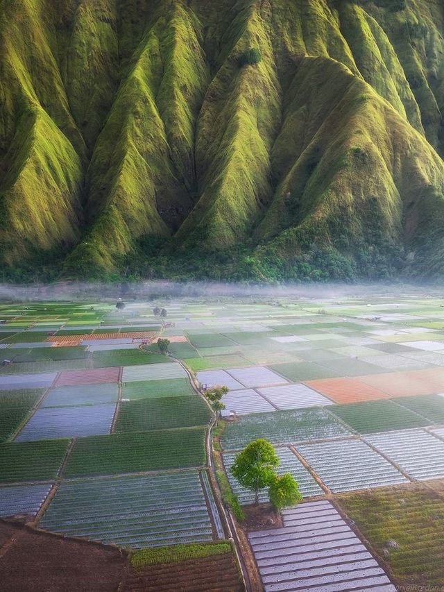 ⛰️ Sembalun – Lombok’s Highland Gateway to Rinjani