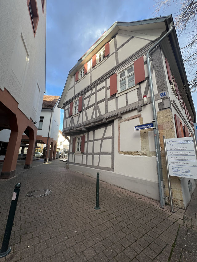 🌳🏰 Bühl, Germany – A Hidden Gem Between Vineyards and the Black Forest ✨🍇