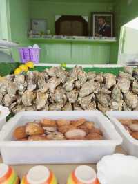 Fresh oysters and ocean breeze in Oualidia for only 100$