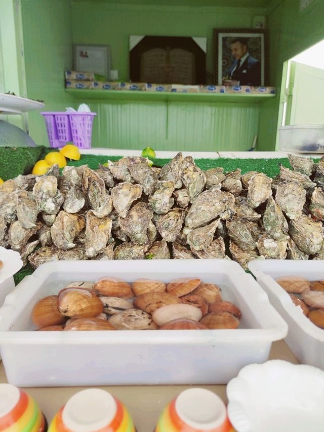 Fresh oysters and ocean breeze in Oualidia for only 100$