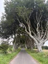 Giant road trip! 