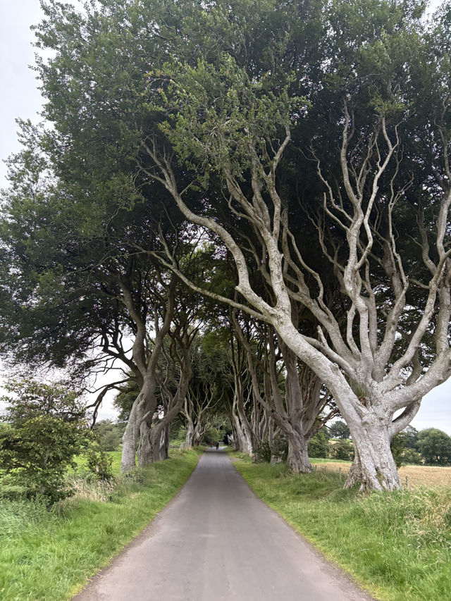 Giant road trip! 